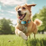 Improve their health with Fitbits smart activity tracking for your pup